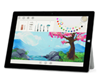 盐湖Surface 无法开启、Windows 无法启动或电池无法充电